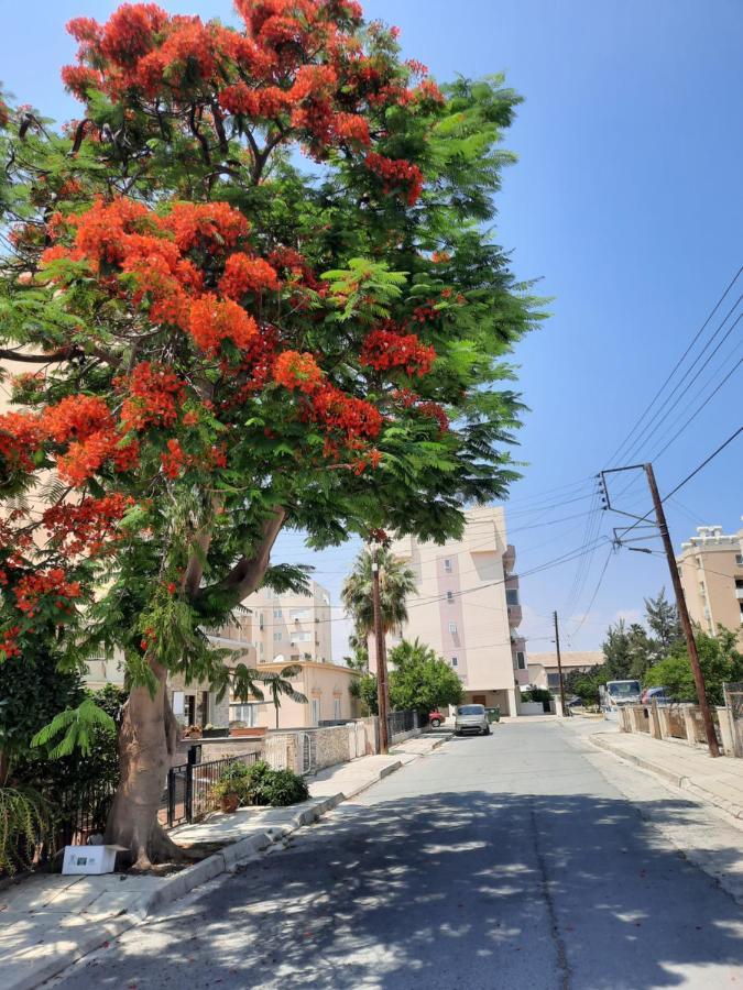 Large Apt 2 Bedrooms Sea View & 2 Balconies Larnaca Exteriör bild